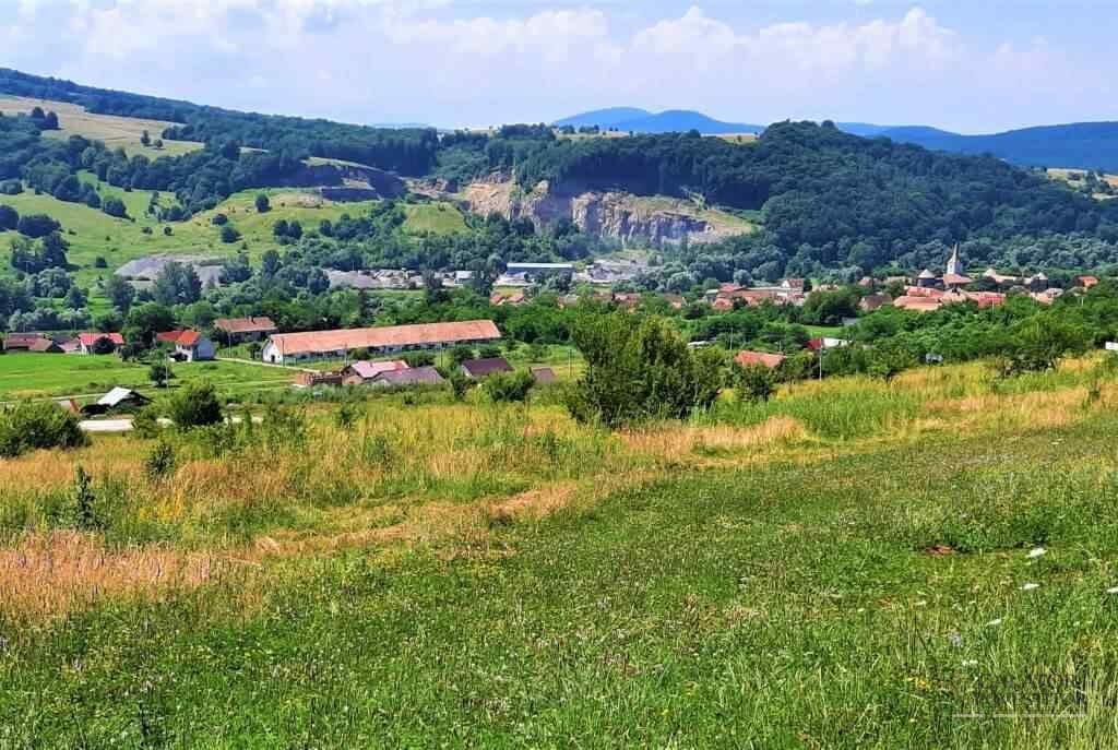 Racoș