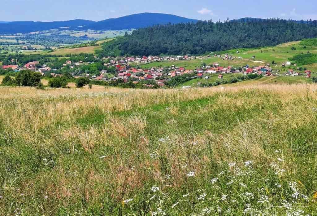 Racoș