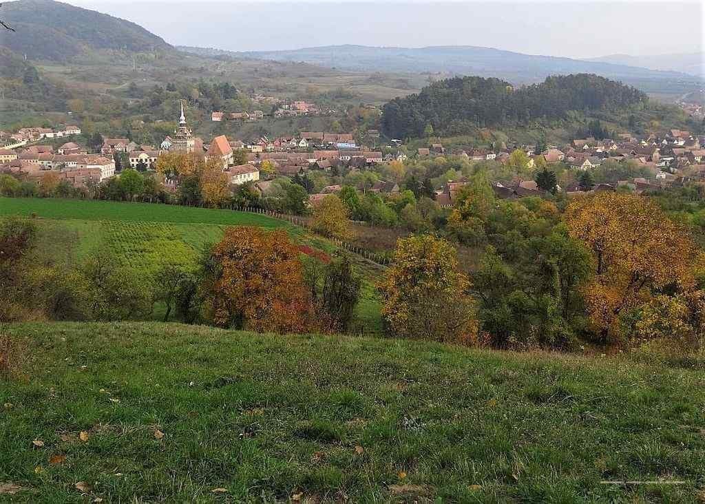 Saschiz