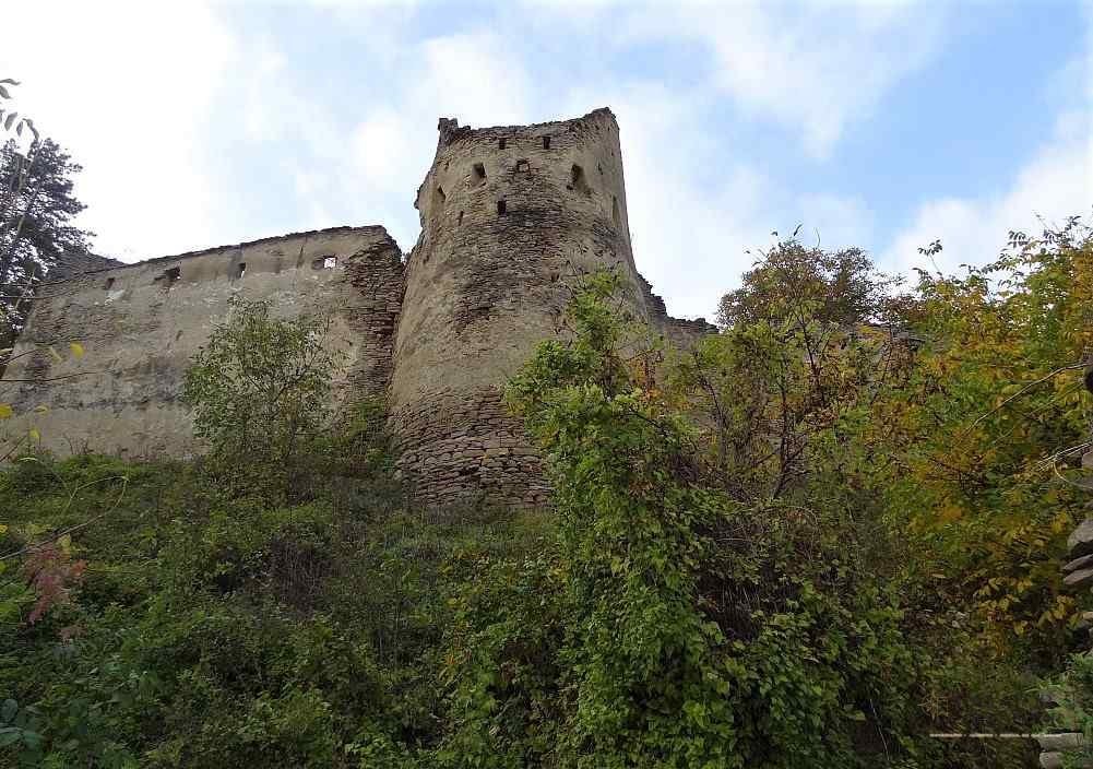 Saschiz