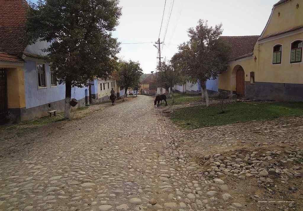 Viscri