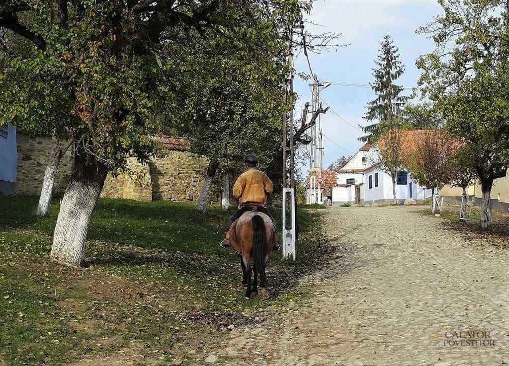Viscri