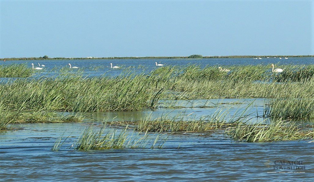 Delta Dunarii - atractii turistice