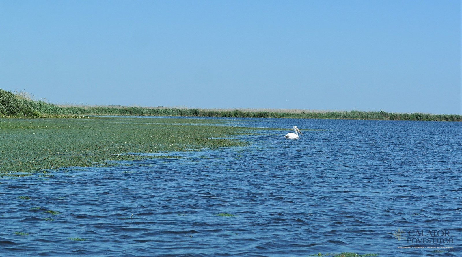 Delta Dunarii - atractii turistice