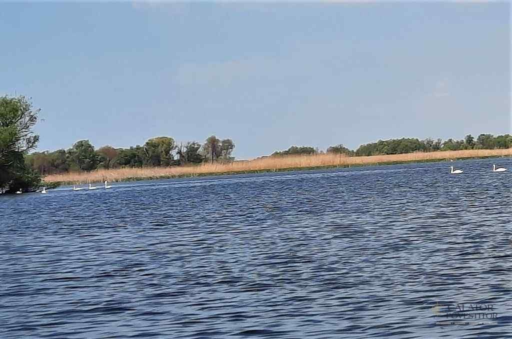 Excursie în Delta Dunării