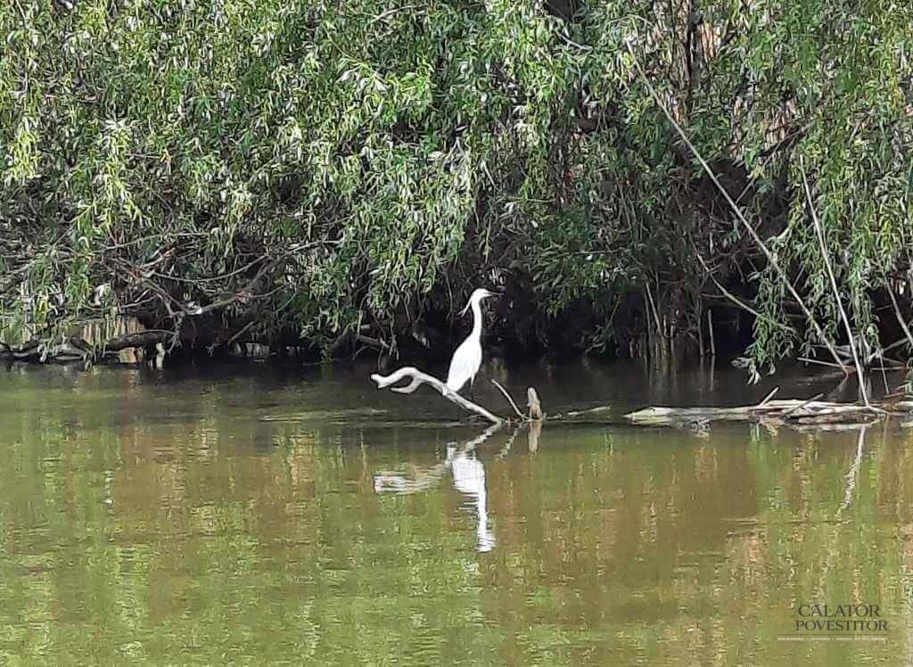 Excursie în Delta Dunării