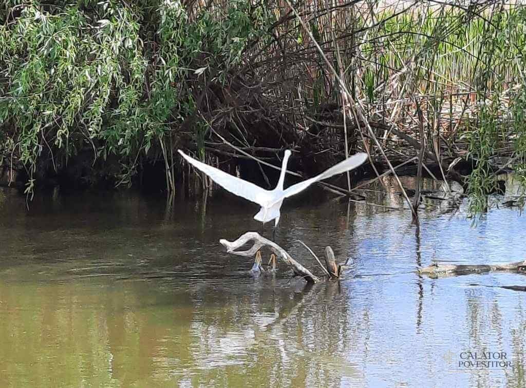 Excursie în Delta Dunării