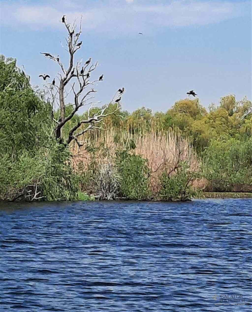 Excursie în Delta Dunării