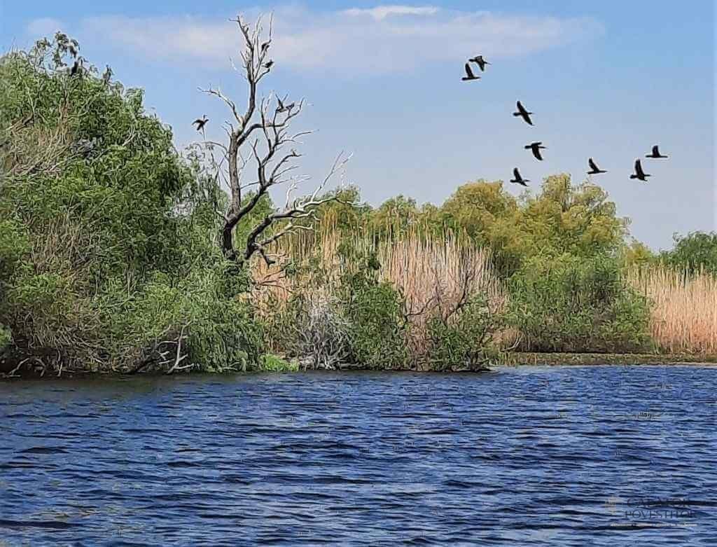 Excursie în Delta Dunării