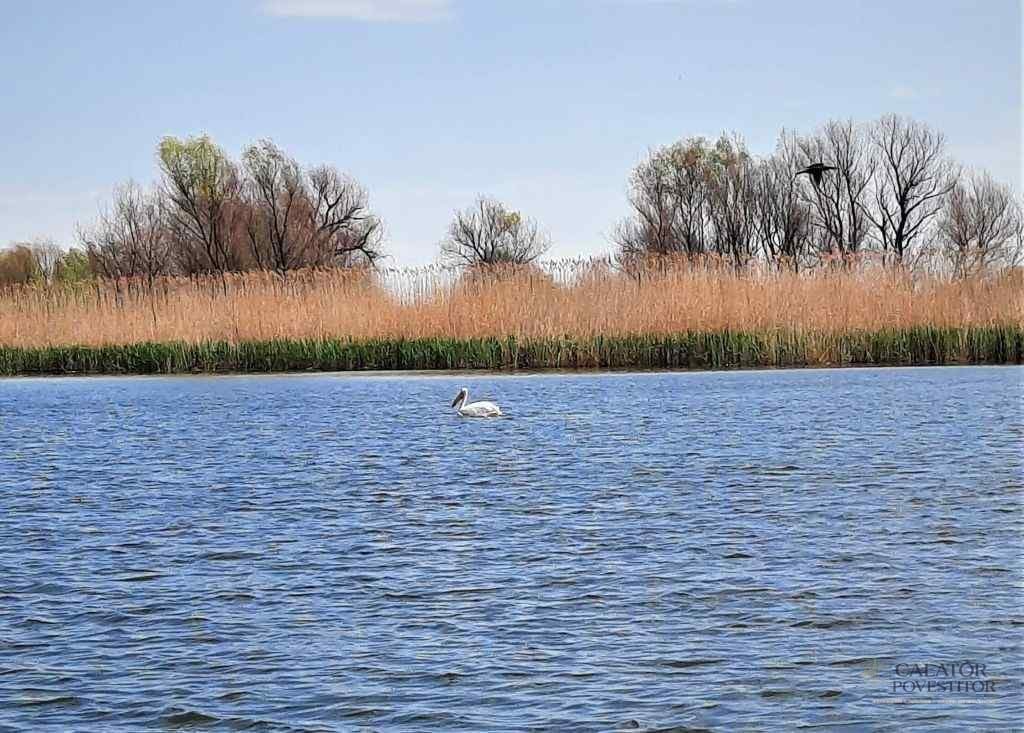 Excursie în Delta Dunării