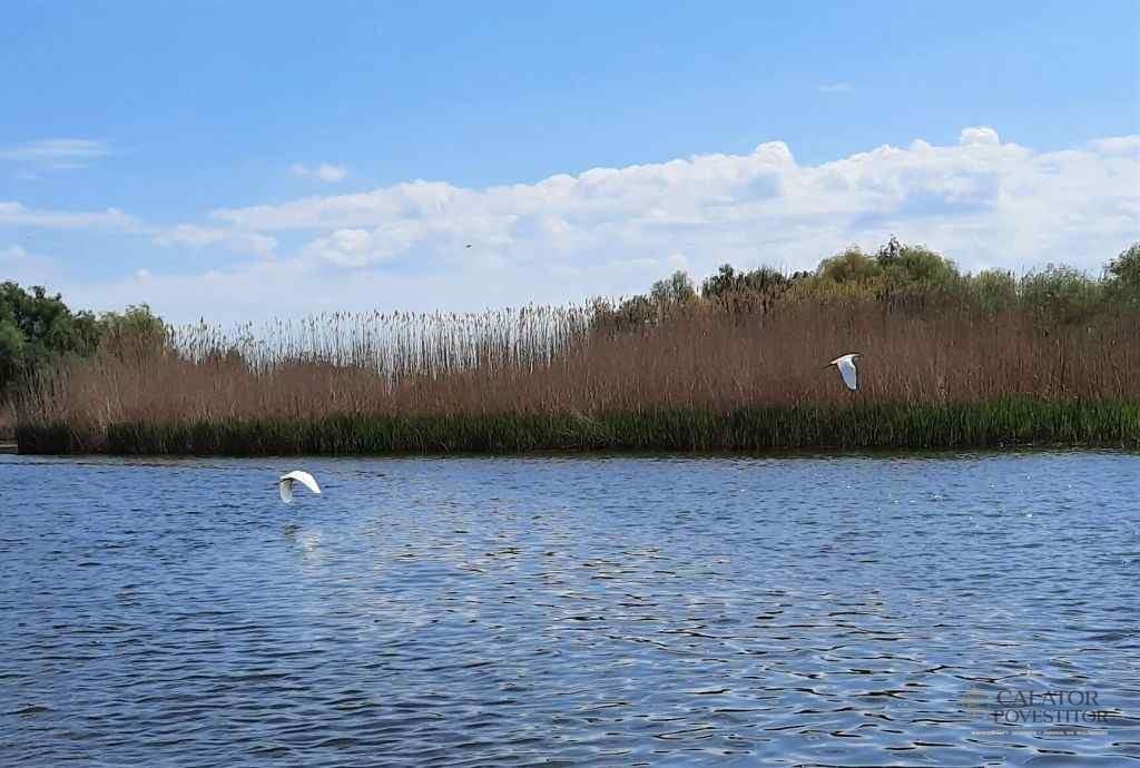 Excursie în Delta Dunării