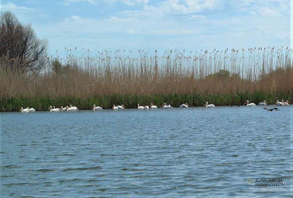 Excursie în Delta Dunării
