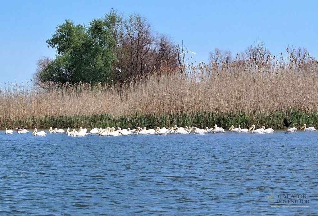 Excursie în Delta Dunării