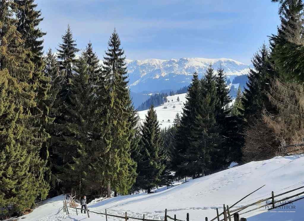 Fundata – cea mai inalta localitate din Romania