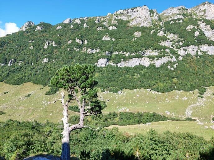 Frumusetea Muntilor Bucegi: traseu inedit spre varful Omu