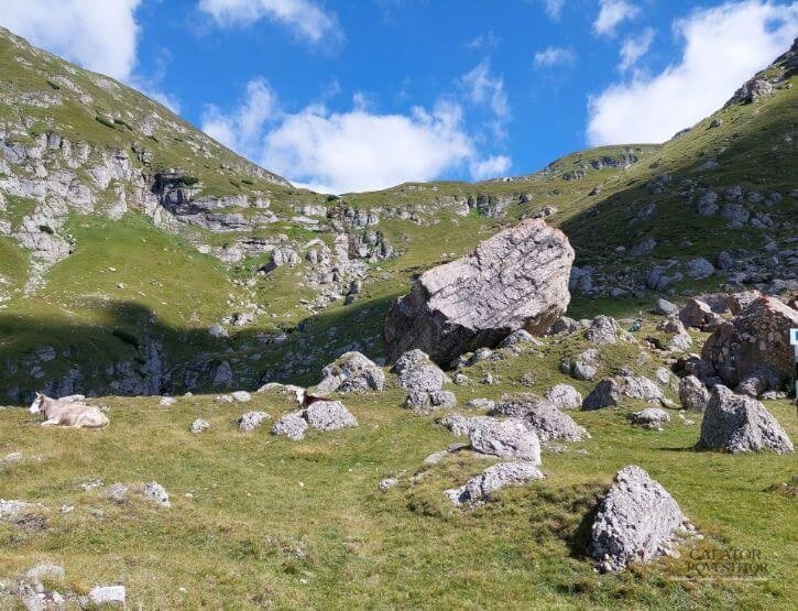 Frumusetea Muntilor Bucegi: traseu inedit spre varful Omu