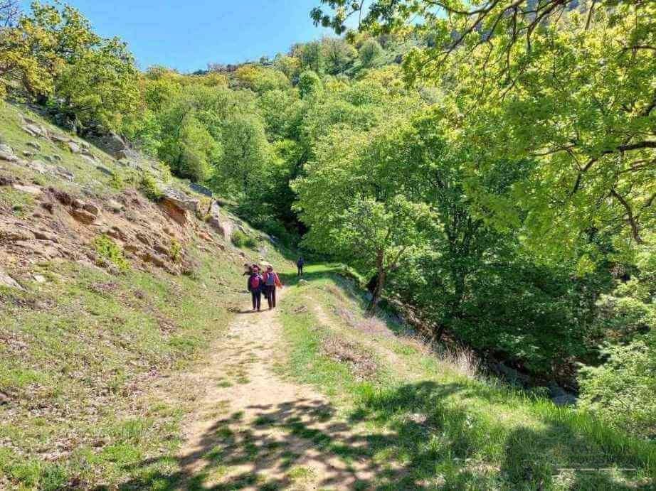 Muntii Macin – traseu montan Varful Tutuiatu