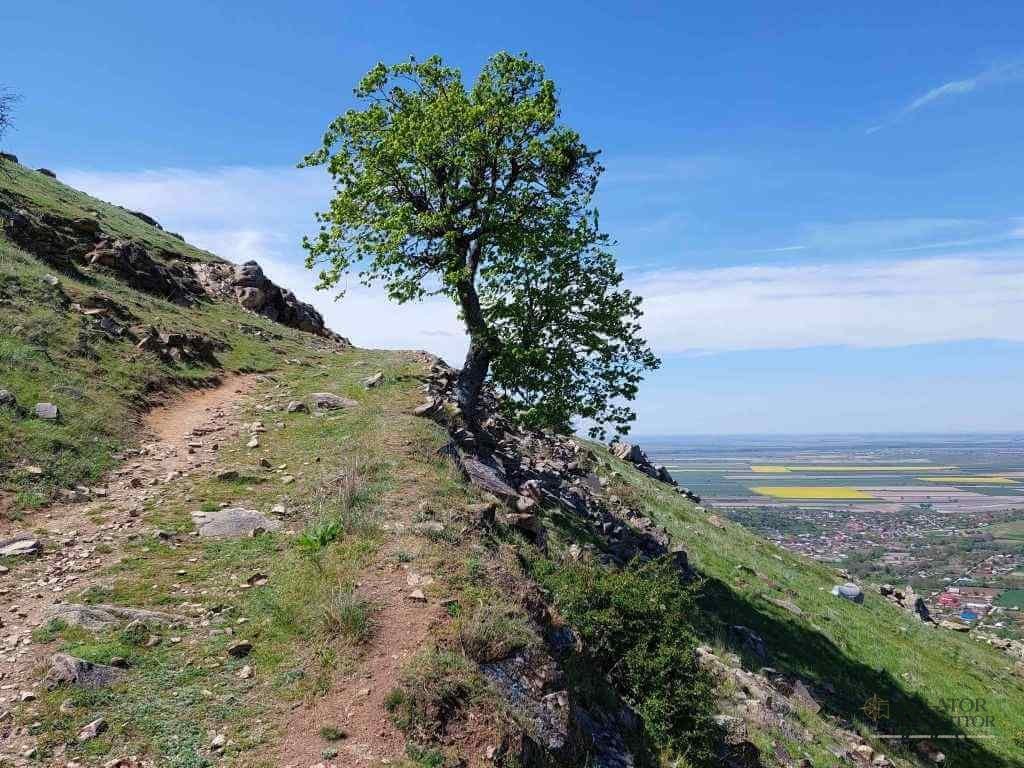 Muntii Macin – traseu montan Varful Tutuiatu