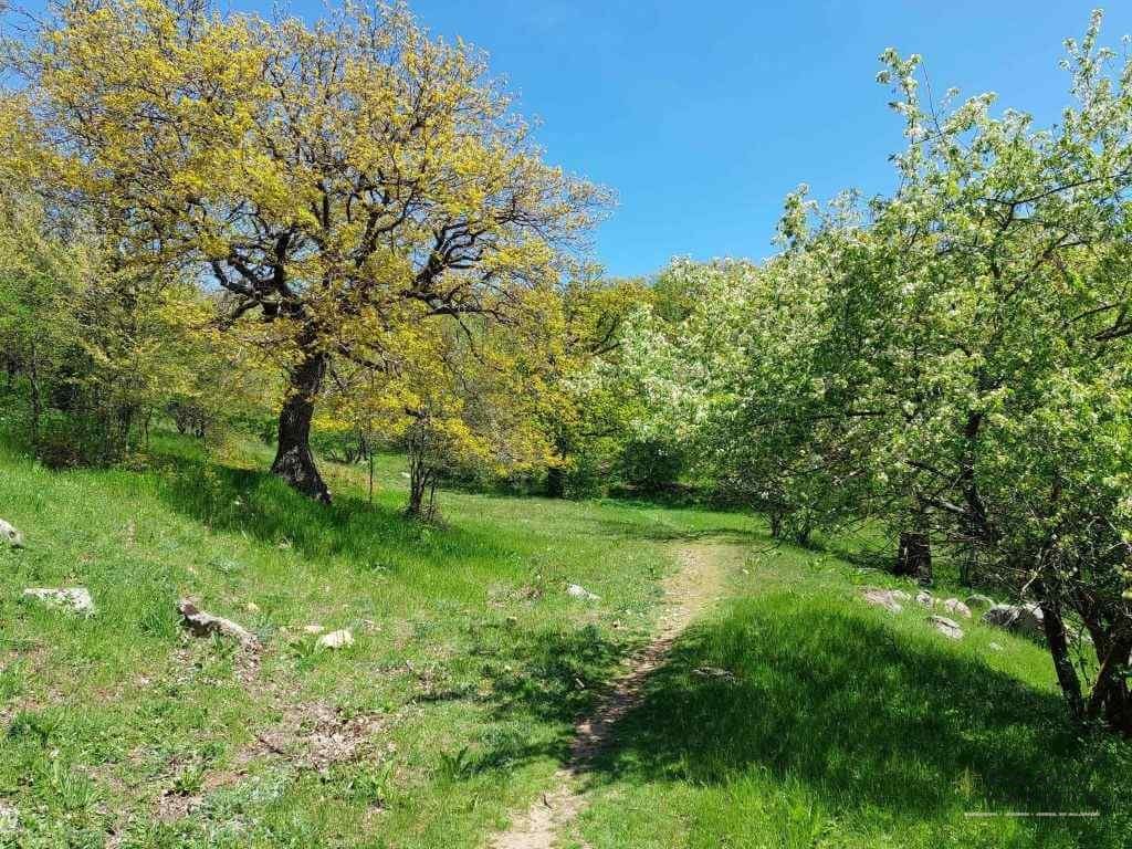 Muntii Macin – traseu montan Varful Tutuiatu