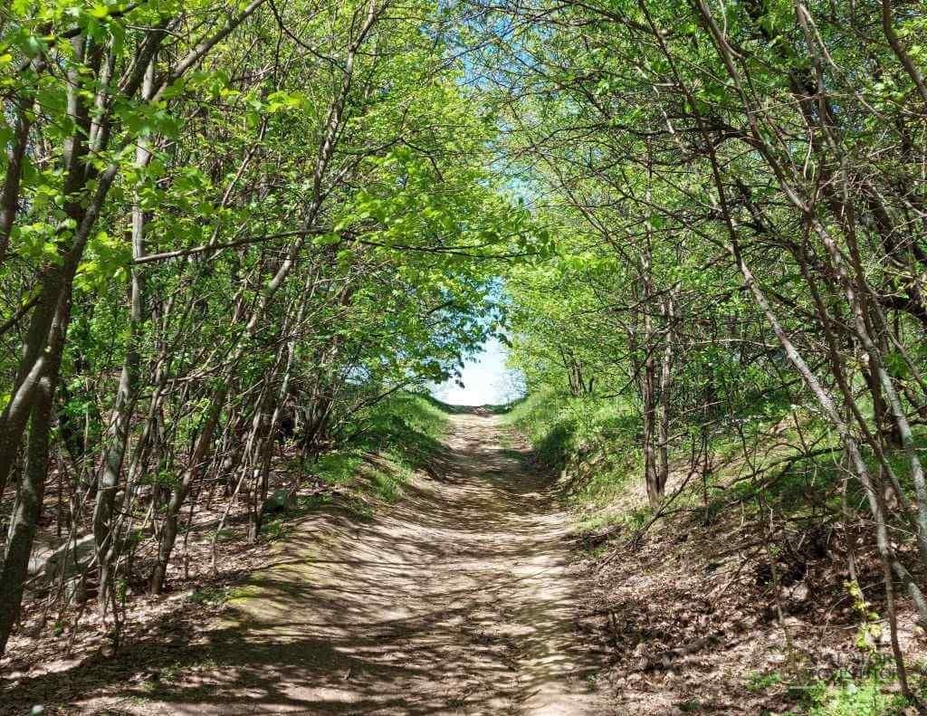 Muntii Macin – traseu montan Varful Tutuiatu