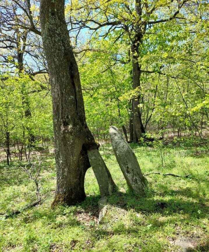 Muntii Macin – traseu montan Varful Tutuiatu