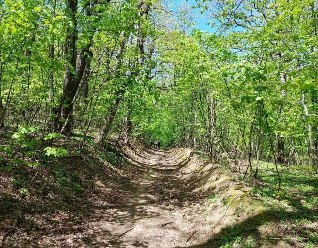 Muntii Macin – traseu montan Varful Tutuiatu