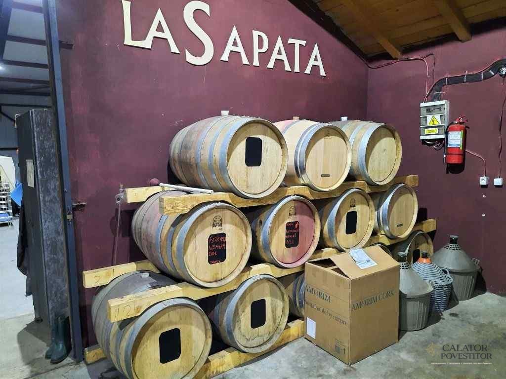 Obiective turistice Dobrogea - Crama La Sapata