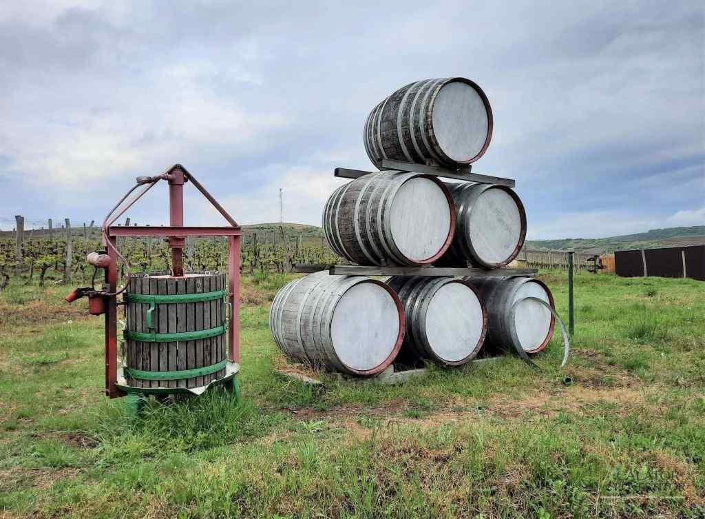 Obiective turistice Dobrogea - Crama La Sapata
