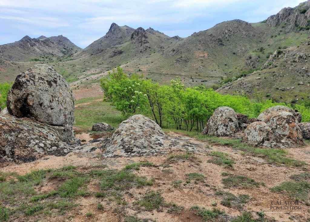 Munții Măcinului