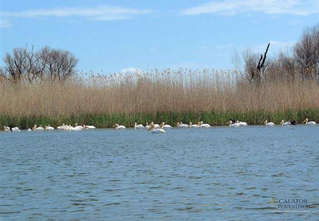 Delta Dunării