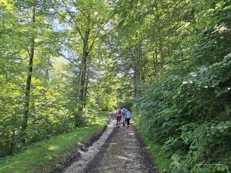 Satic-Podu Dambovitei – obiective turistice