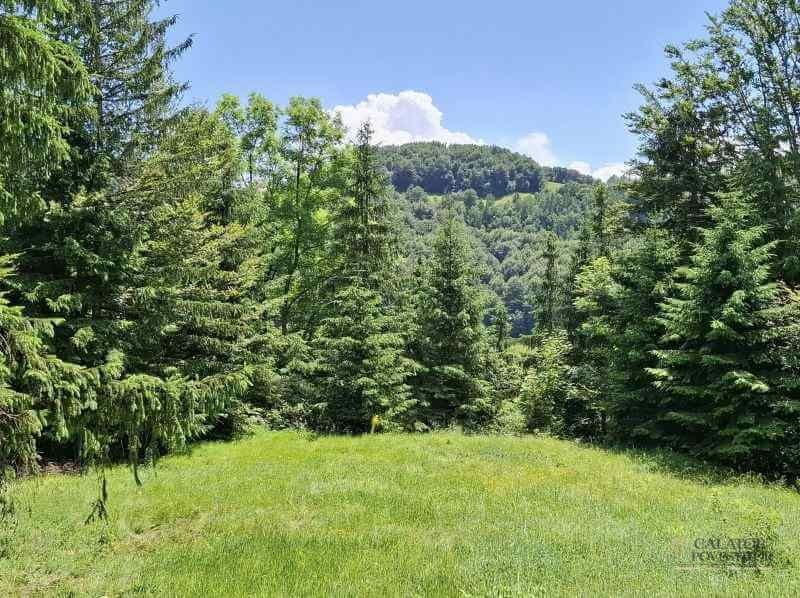 Satic-Podu Dambovitei – obiective turistice
