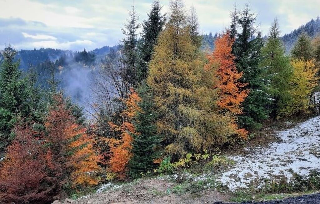 locuri de vizitat in Harghita