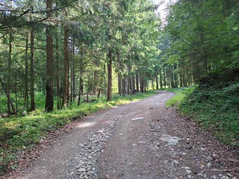 Trasee în Piatra Craiului – Cerdacul Stanciului
