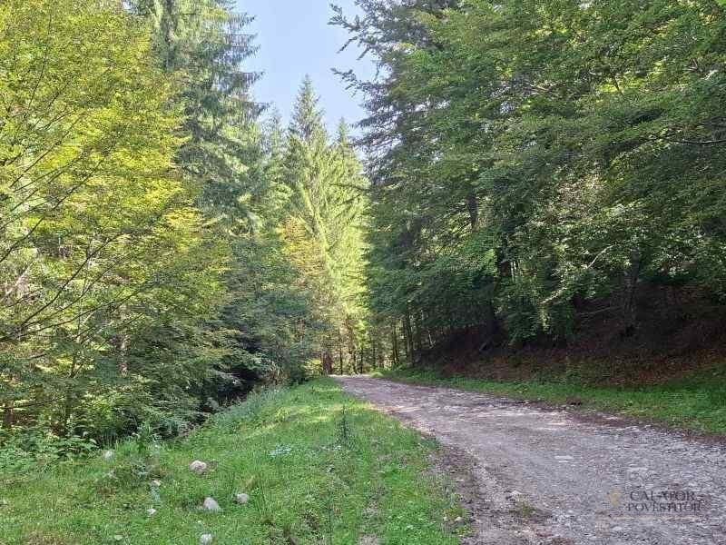 Trasee în Piatra Craiului – Cerdacul Stanciului