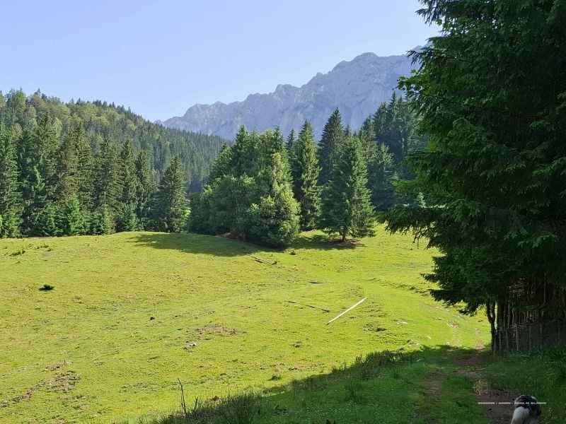 Trasee în Piatra Craiului – Cerdacul Stanciului