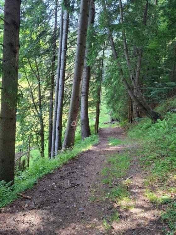Trasee în Piatra Craiului – Cerdacul Stanciului