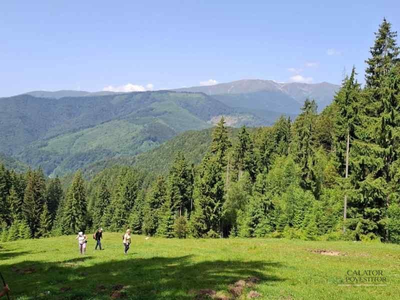 Trasee în Piatra Craiului – Cerdacul Stanciului