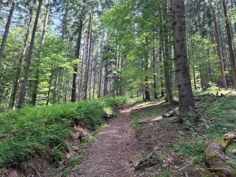 Trasee în Piatra Craiului – Cerdacul Stanciului