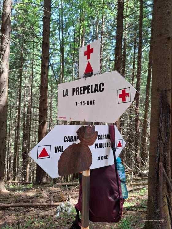 Trasee în Piatra Craiului – Cerdacul Stanciului