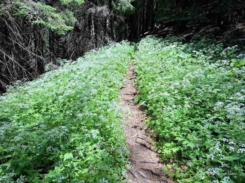 Trasee în Piatra Craiului – Cerdacul Stanciului