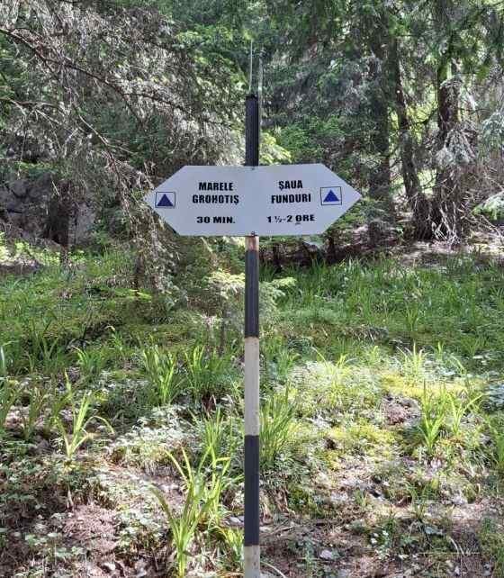 Trasee în Piatra Craiului – Cerdacul Stanciului