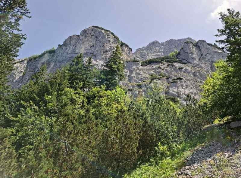 Trasee în Piatra Craiului – Cerdacul Stanciului