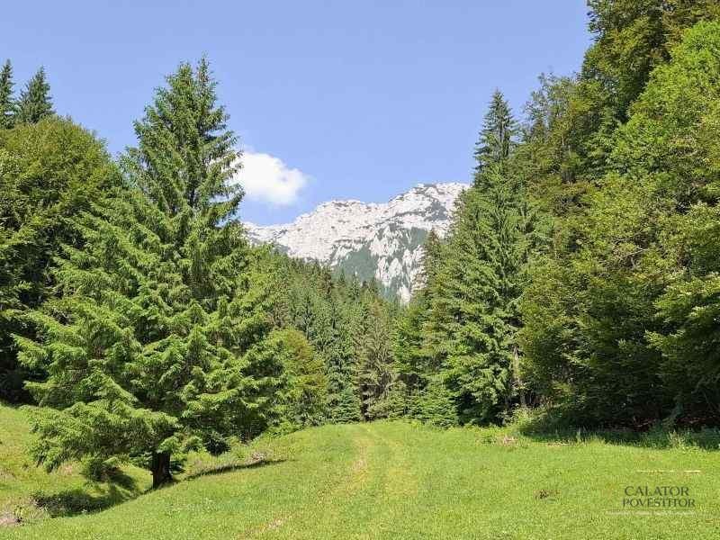 Trasee în Piatra Craiului – Cerdacul Stanciului