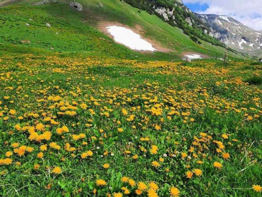 Trasee montane din Bucegi - Cascada Doamnele
