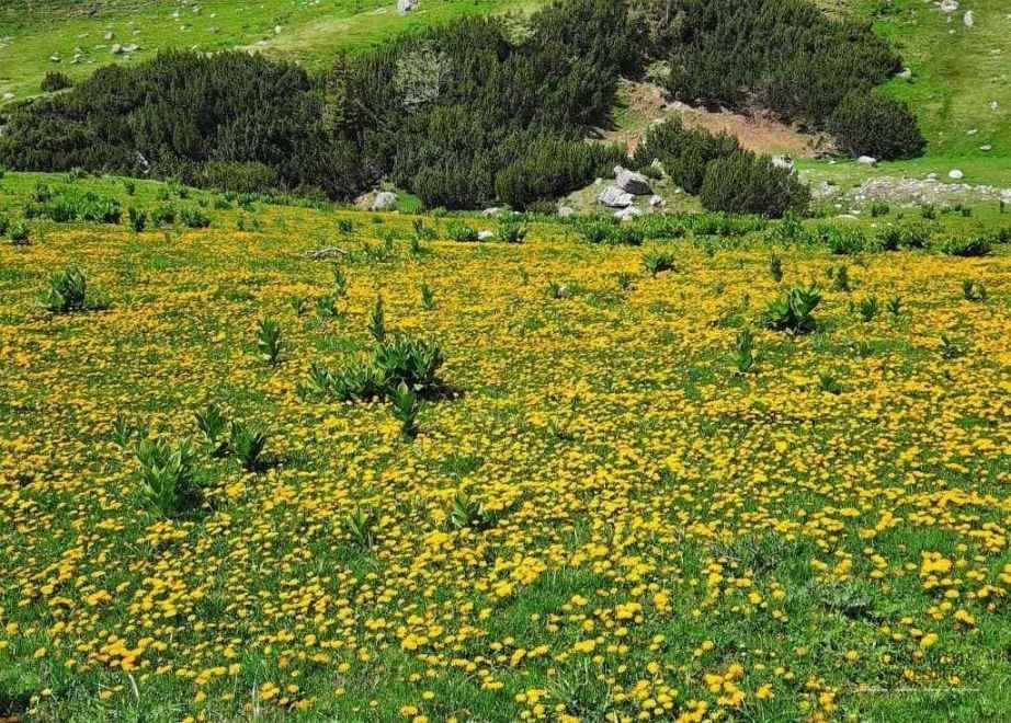 Trasee montane din Bucegi - Cascada Doamnele