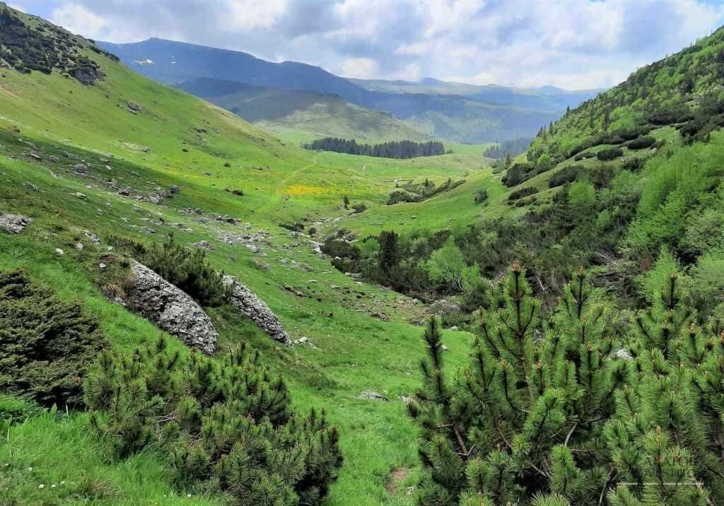 Trasee montane din Bucegi - Cascada Doamnele