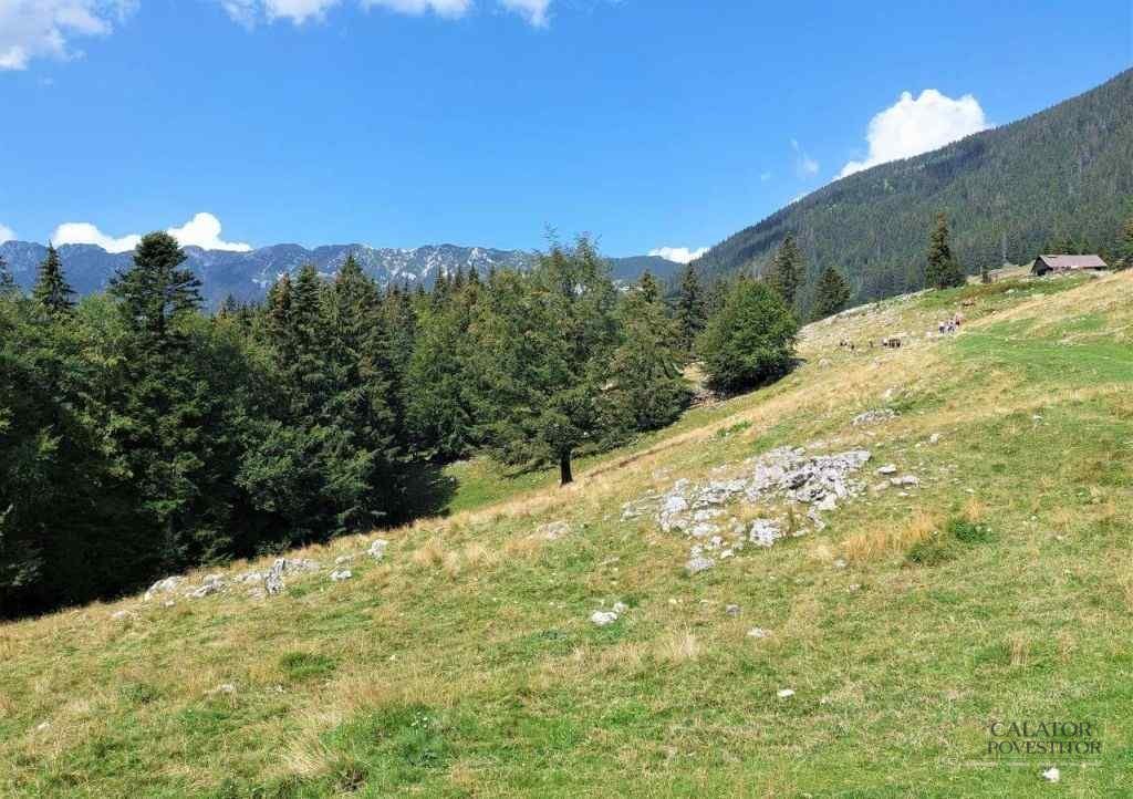 Trasee montane Piatra Craiului - cabana Curmatura