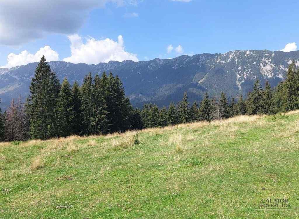 Trasee montane Piatra Craiului - cabana Curmatura