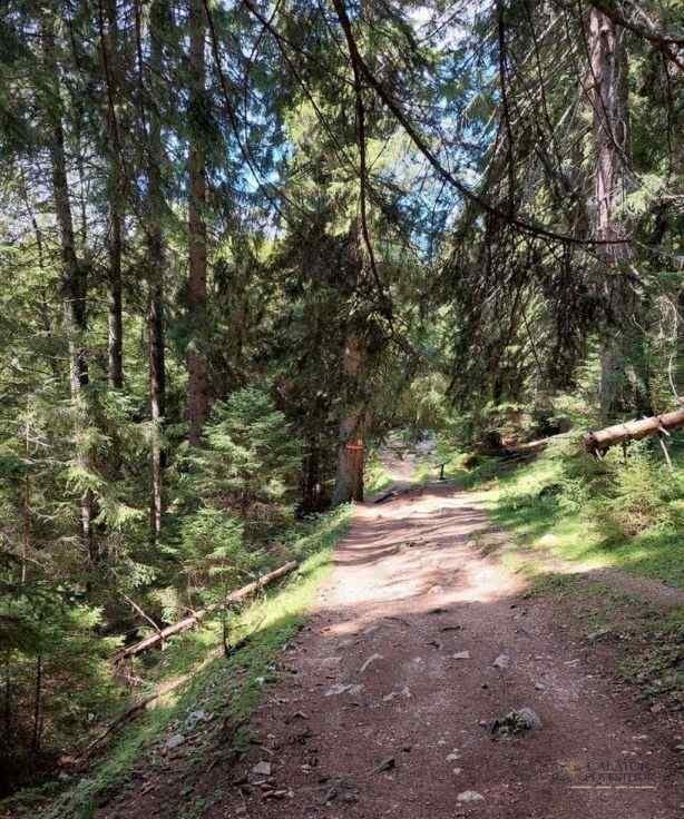 Trasee montane Piatra Craiului - cabana Curmatura